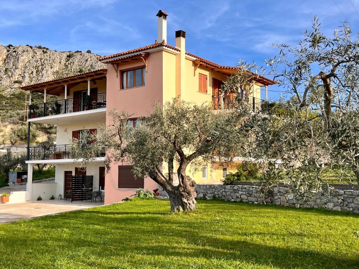 Ενtree Guest House Near Palamidi Castle 纳夫普利翁 外观 照片