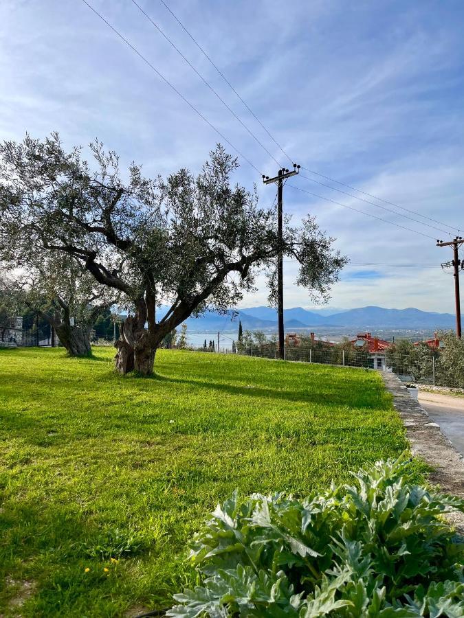 Ενtree Guest House Near Palamidi Castle 纳夫普利翁 外观 照片